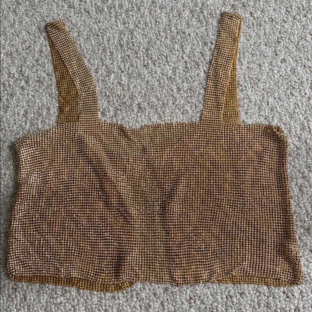 Gold Mesh Crop Top